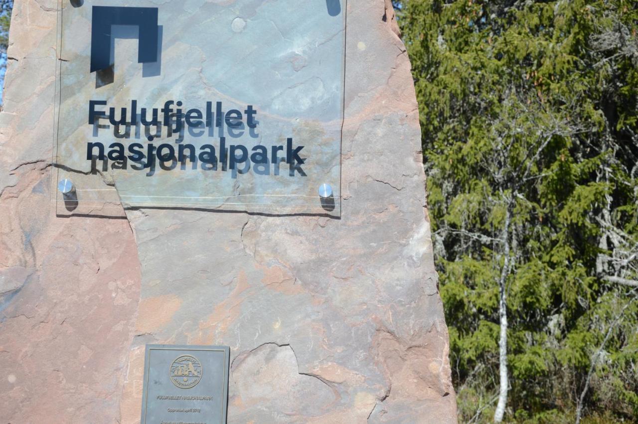 14 - Fulufjellets Nasjonalparker - Natur-, Dyre- Og Fugleopplevelser Trysil Buitenkant foto