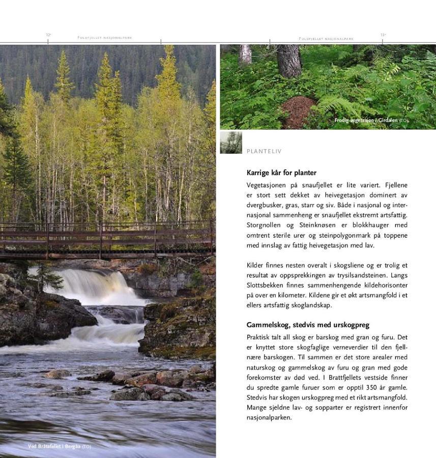 14 - Fulufjellets Nasjonalparker - Natur-, Dyre- Og Fugleopplevelser Trysil Buitenkant foto