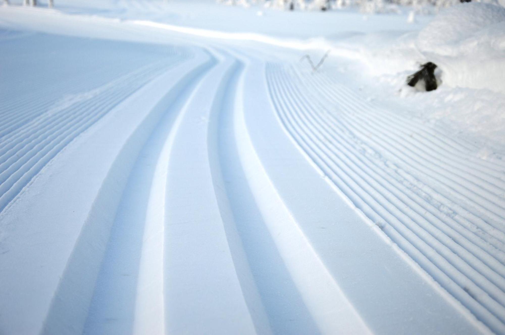 14 - Fulufjellets Nasjonalparker - Natur-, Dyre- Og Fugleopplevelser Trysil Buitenkant foto