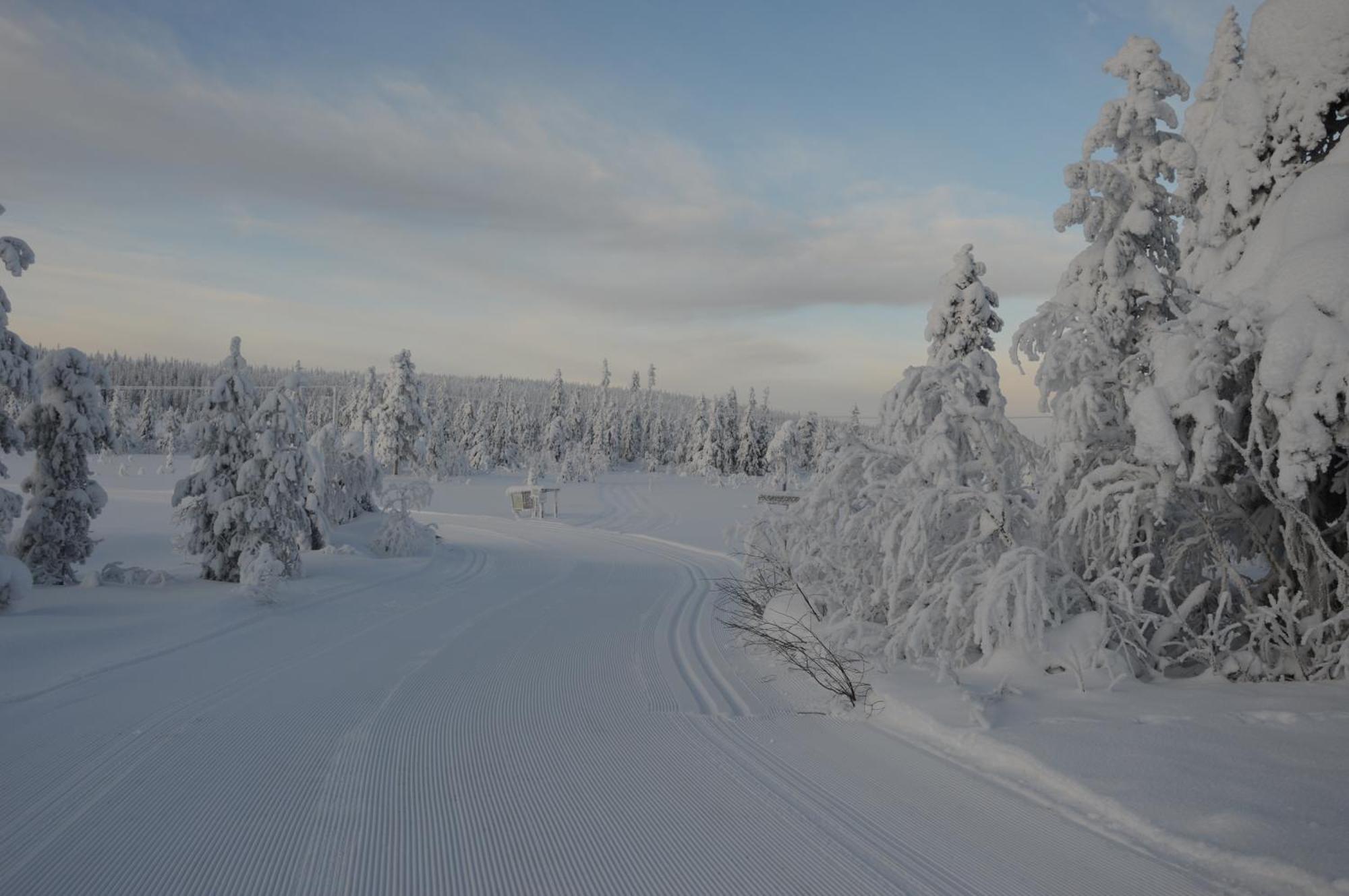 14 - Fulufjellets Nasjonalparker - Natur-, Dyre- Og Fugleopplevelser Trysil Buitenkant foto