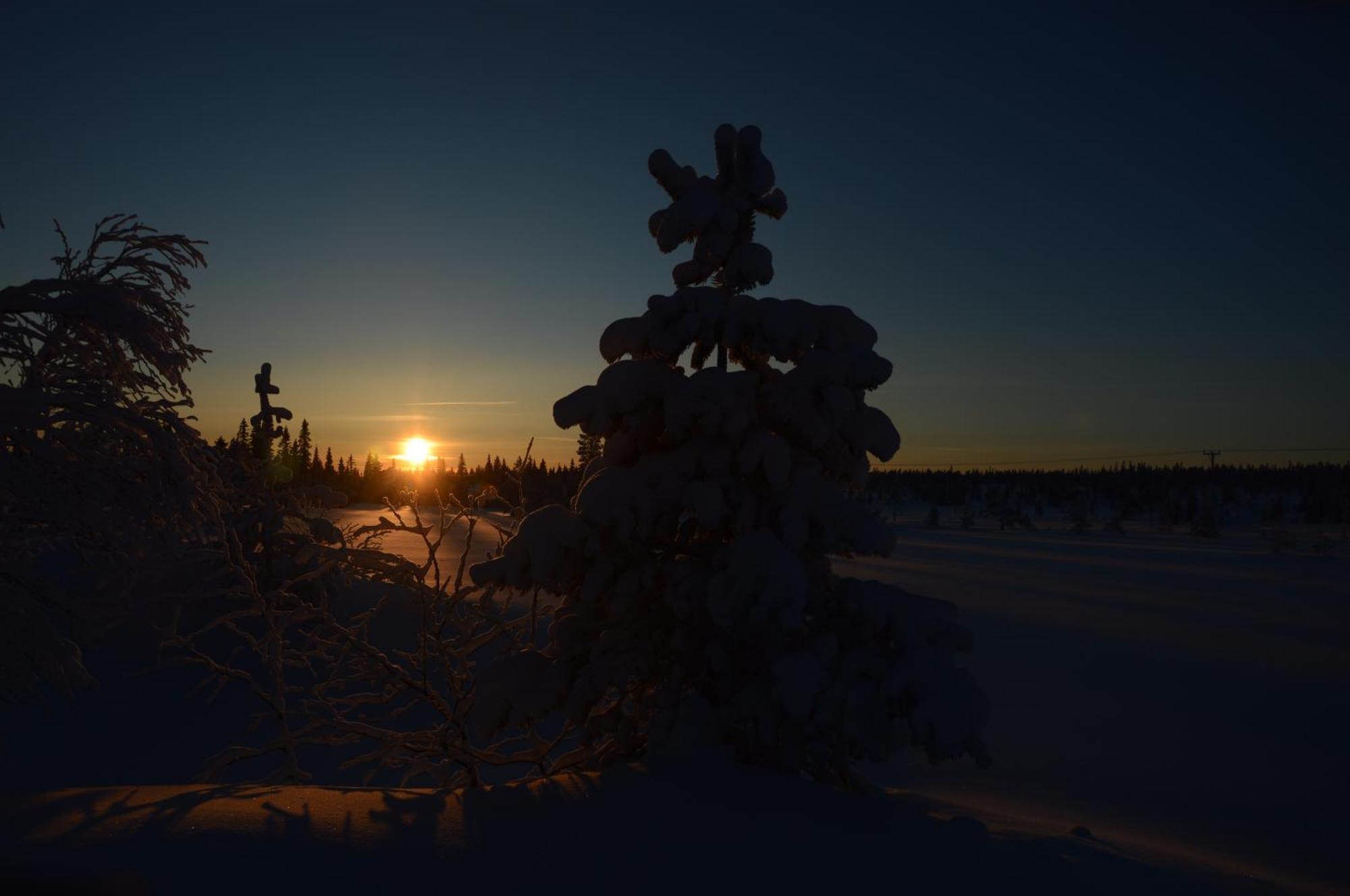 14 - Fulufjellets Nasjonalparker - Natur-, Dyre- Og Fugleopplevelser Trysil Buitenkant foto
