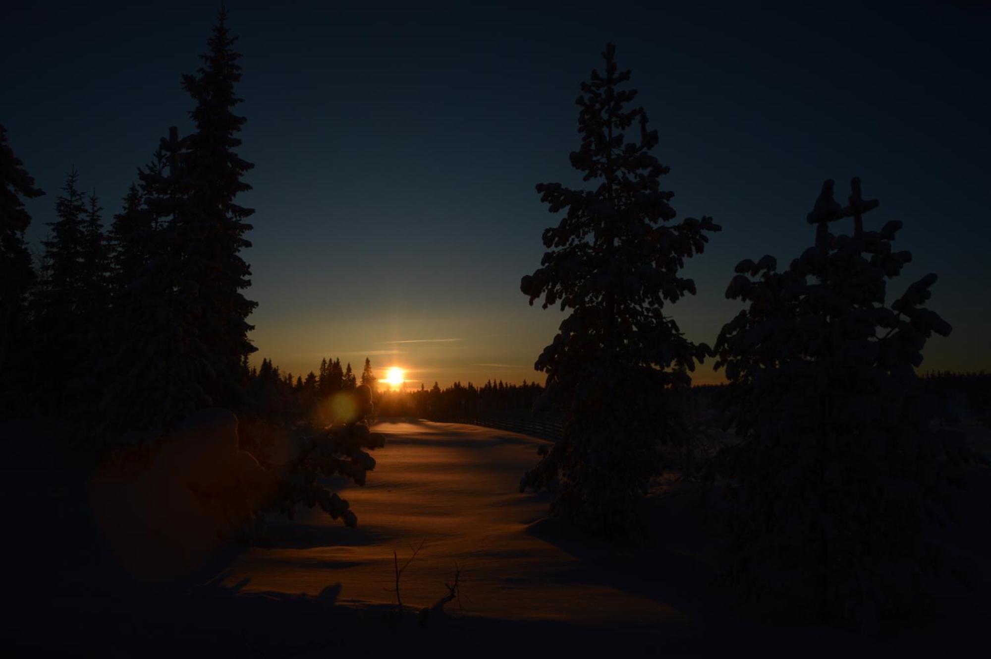 14 - Fulufjellets Nasjonalparker - Natur-, Dyre- Og Fugleopplevelser Trysil Buitenkant foto