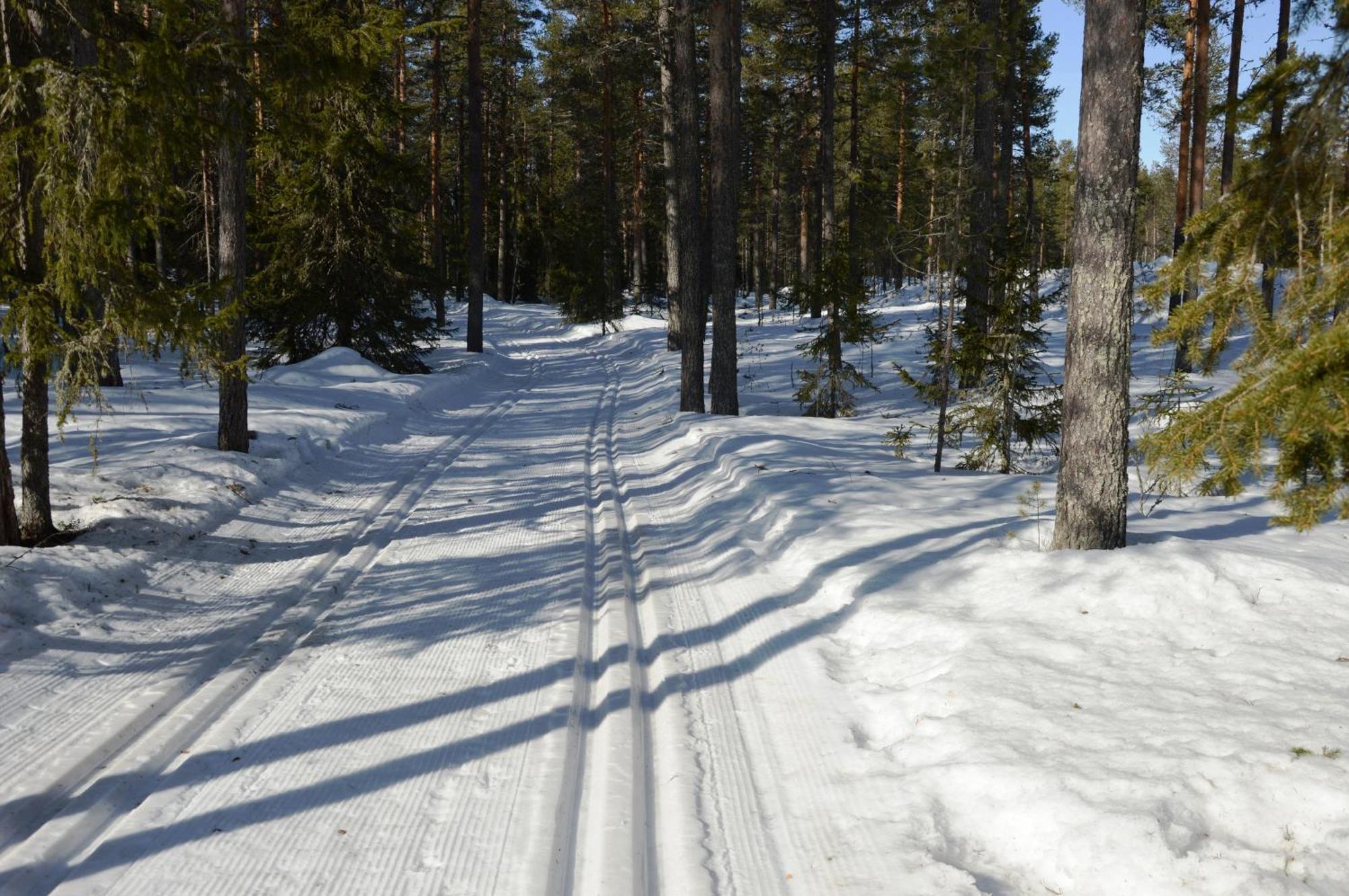 14 - Fulufjellets Nasjonalparker - Natur-, Dyre- Og Fugleopplevelser Trysil Buitenkant foto