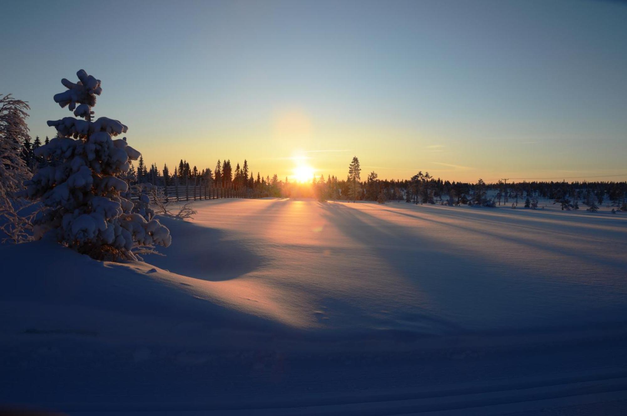 14 - Fulufjellets Nasjonalparker - Natur-, Dyre- Og Fugleopplevelser Trysil Buitenkant foto
