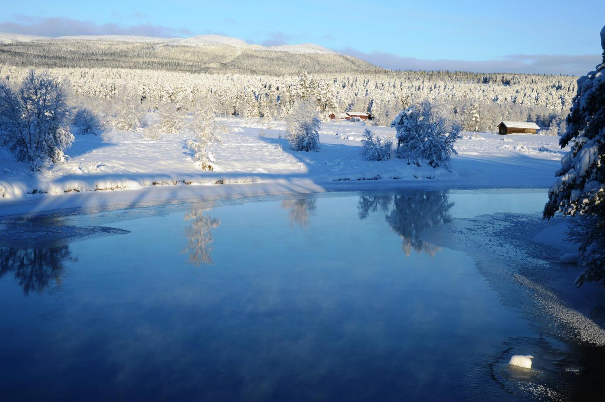 14 - Fulufjellets Nasjonalparker - Natur-, Dyre- Og Fugleopplevelser Trysil Buitenkant foto