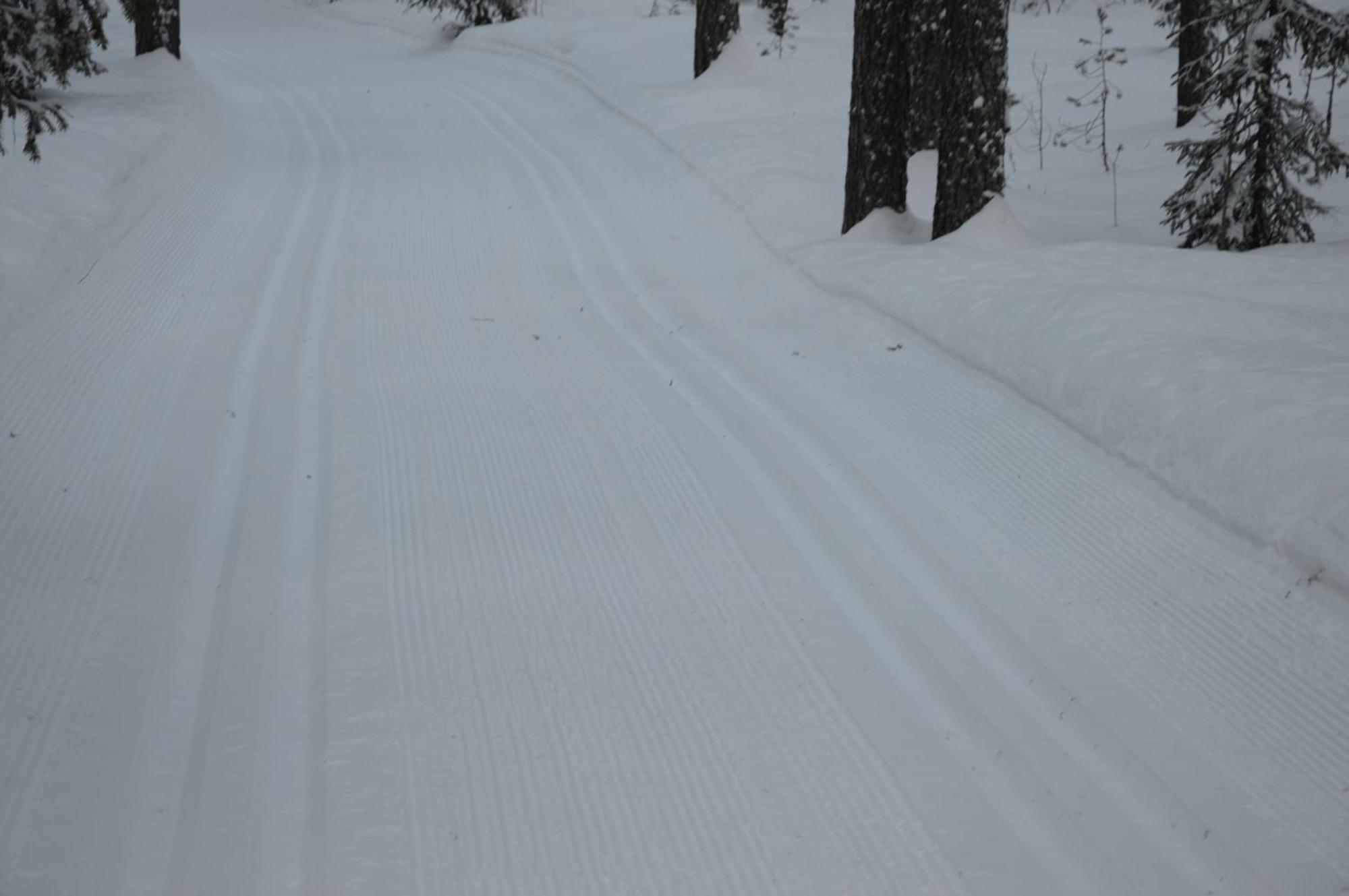 14 - Fulufjellets Nasjonalparker - Natur-, Dyre- Og Fugleopplevelser Trysil Buitenkant foto