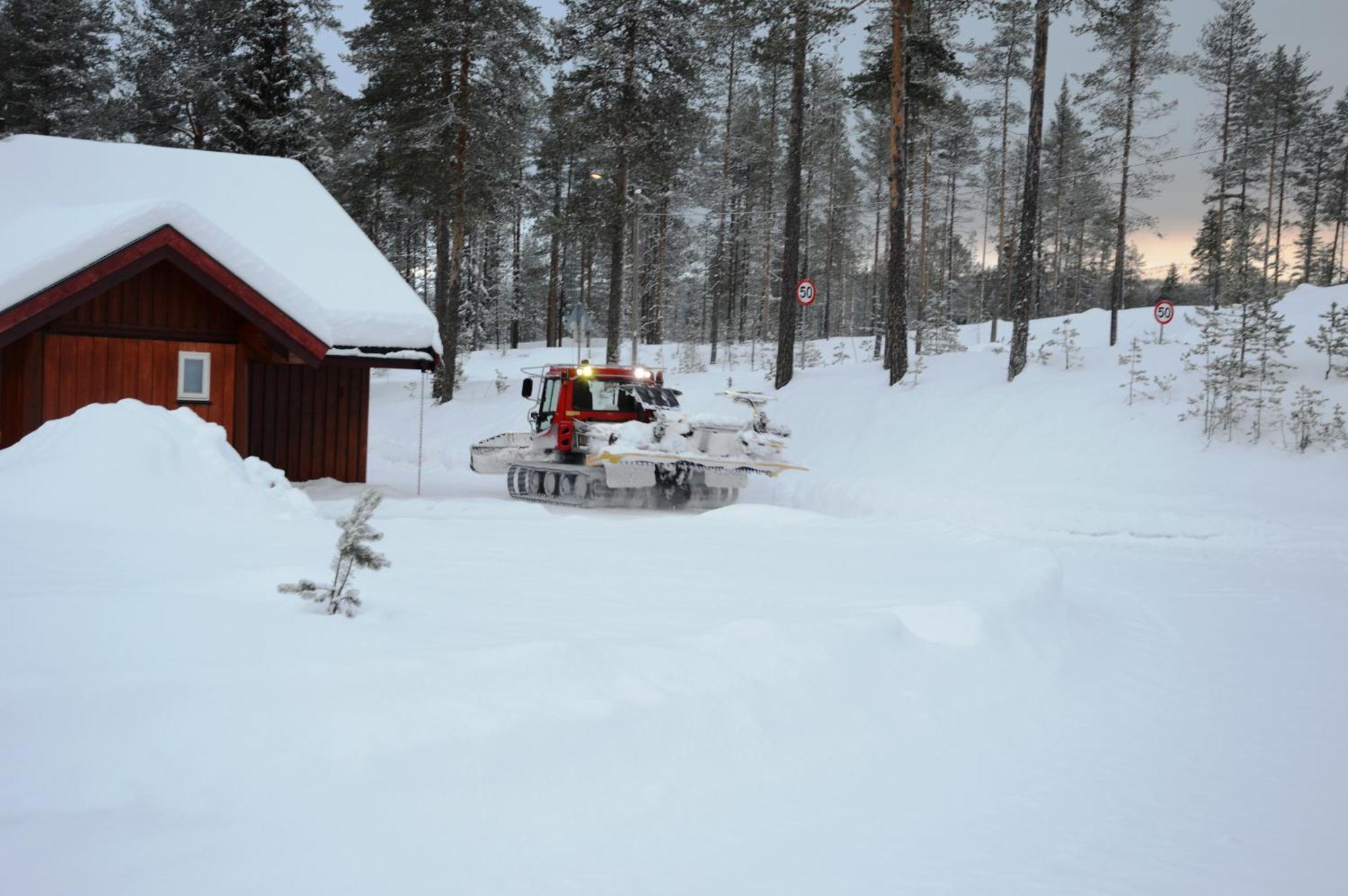 14 - Fulufjellets Nasjonalparker - Natur-, Dyre- Og Fugleopplevelser Trysil Buitenkant foto