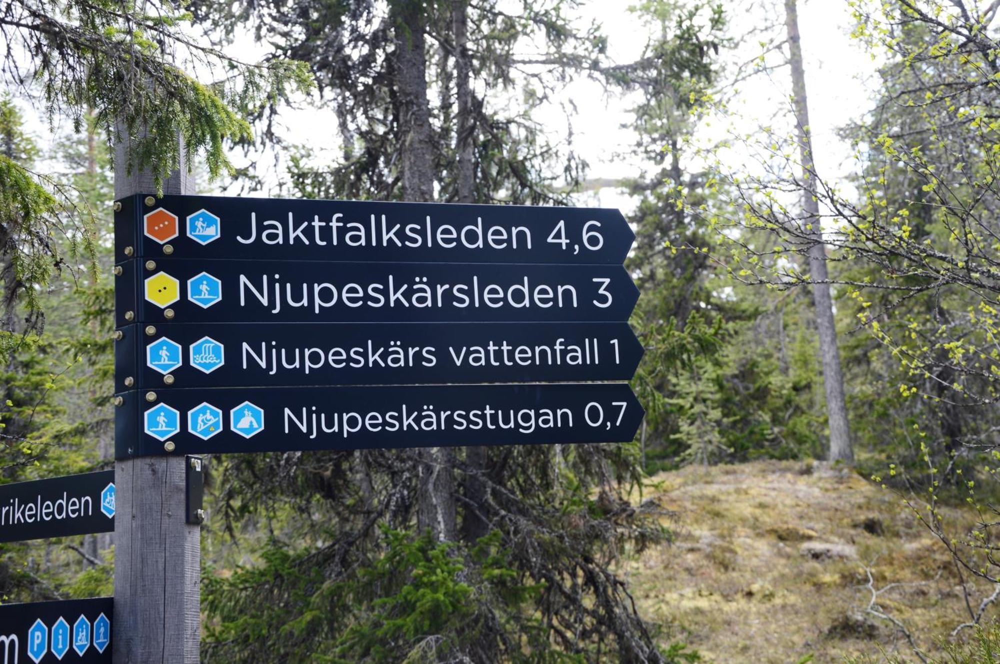 14 - Fulufjellets Nasjonalparker - Natur-, Dyre- Og Fugleopplevelser Trysil Buitenkant foto
