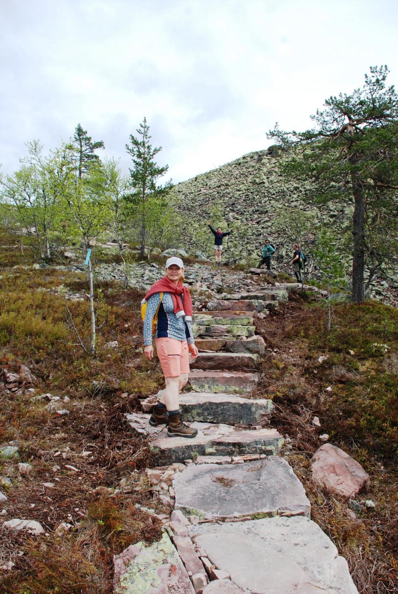 14 - Fulufjellets Nasjonalparker - Natur-, Dyre- Og Fugleopplevelser Trysil Buitenkant foto