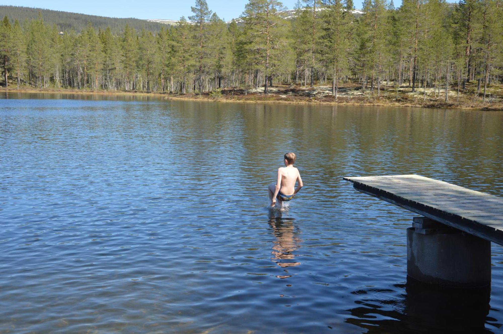14 - Fulufjellets Nasjonalparker - Natur-, Dyre- Og Fugleopplevelser Trysil Buitenkant foto