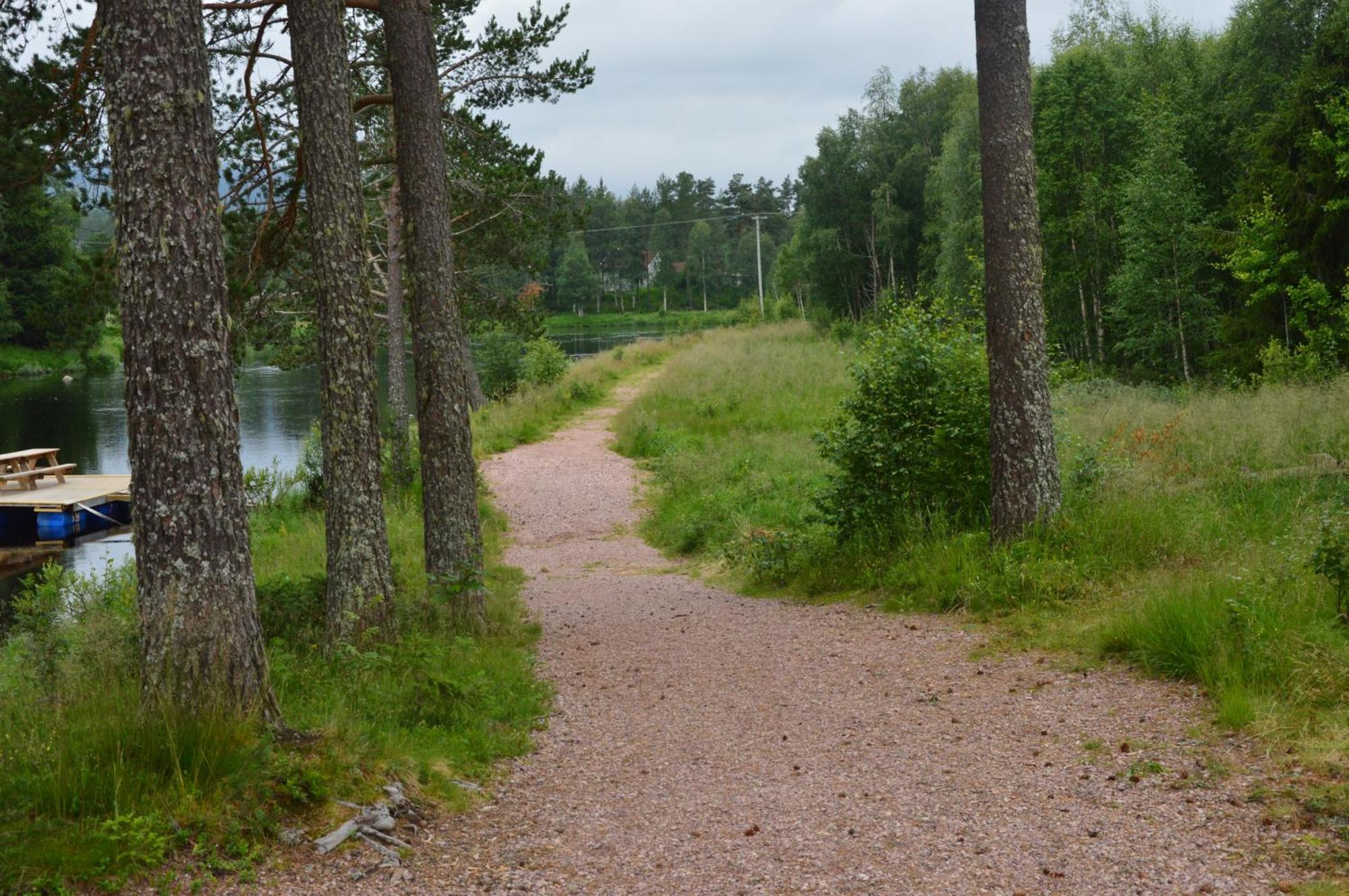 14 - Fulufjellets Nasjonalparker - Natur-, Dyre- Og Fugleopplevelser Trysil Buitenkant foto
