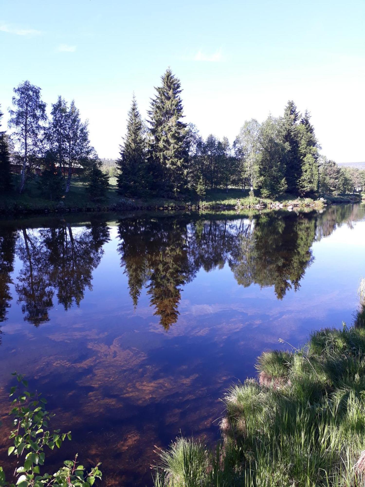 14 - Fulufjellets Nasjonalparker - Natur-, Dyre- Og Fugleopplevelser Trysil Buitenkant foto