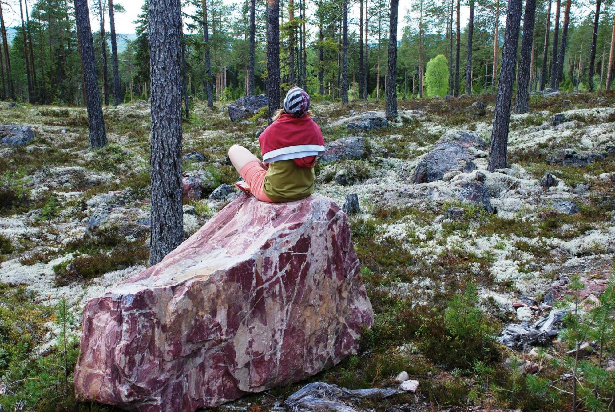 14 - Fulufjellets Nasjonalparker - Natur-, Dyre- Og Fugleopplevelser Trysil Buitenkant foto