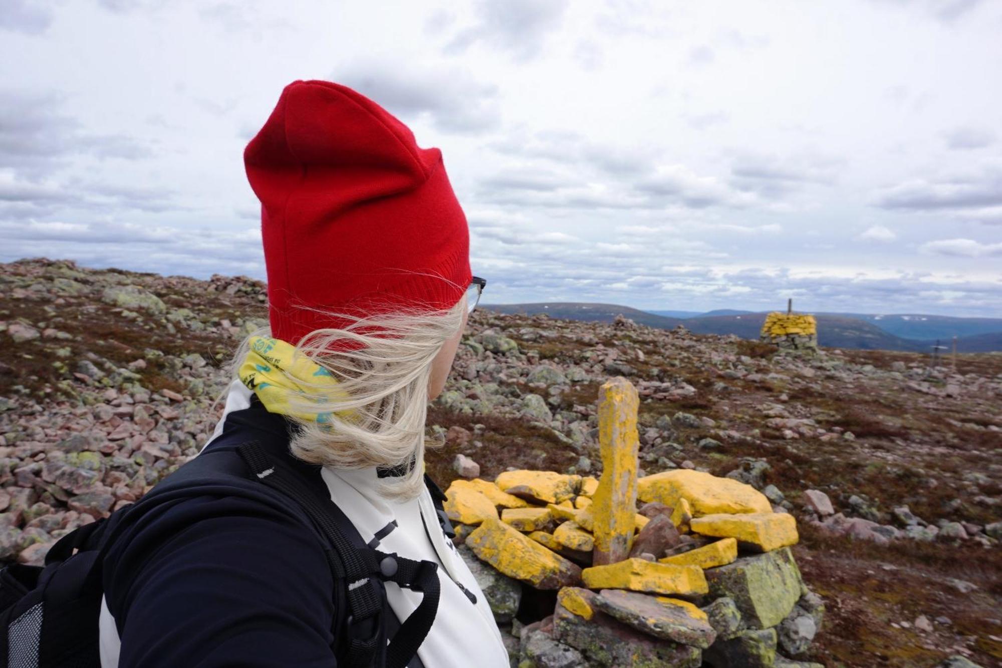 14 - Fulufjellets Nasjonalparker - Natur-, Dyre- Og Fugleopplevelser Trysil Buitenkant foto