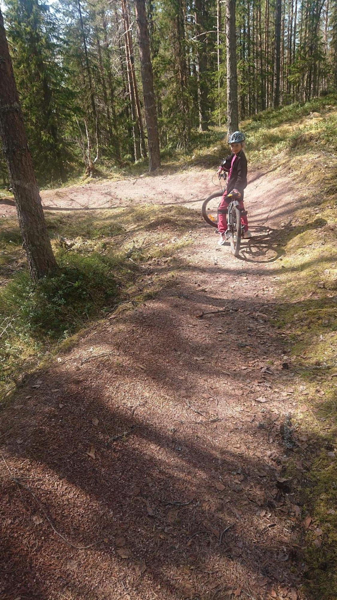 14 - Fulufjellets Nasjonalparker - Natur-, Dyre- Og Fugleopplevelser Trysil Buitenkant foto