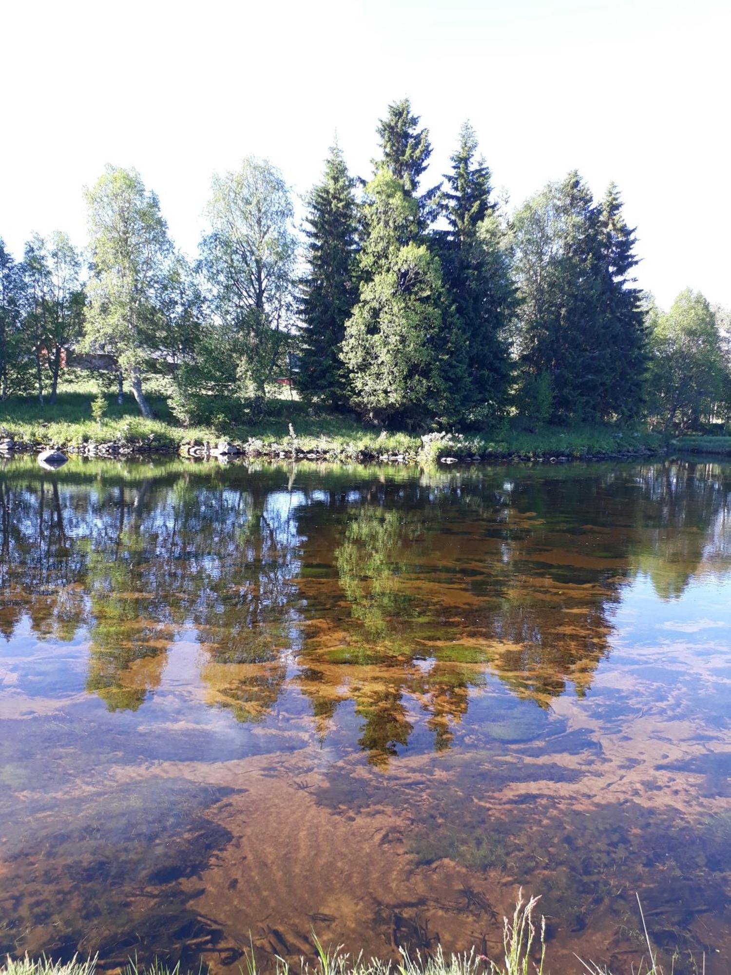 14 - Fulufjellets Nasjonalparker - Natur-, Dyre- Og Fugleopplevelser Trysil Buitenkant foto