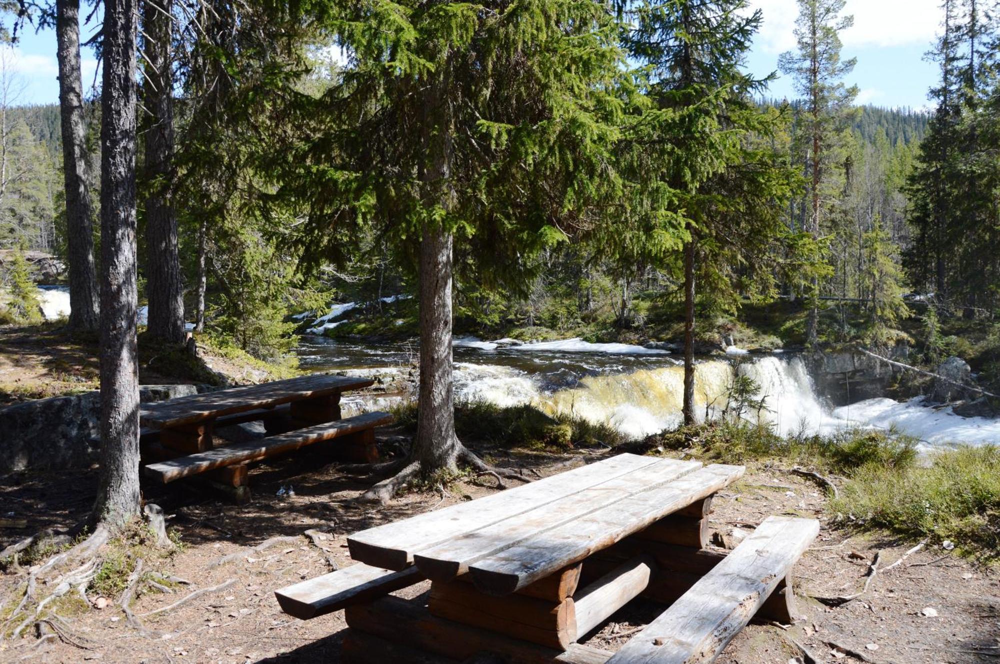 14 - Fulufjellets Nasjonalparker - Natur-, Dyre- Og Fugleopplevelser Trysil Buitenkant foto