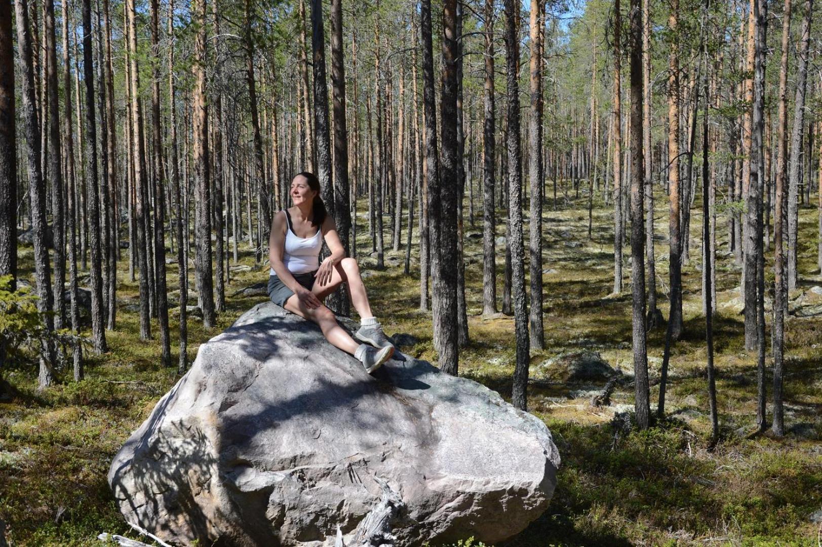 14 - Fulufjellets Nasjonalparker - Natur-, Dyre- Og Fugleopplevelser Trysil Buitenkant foto