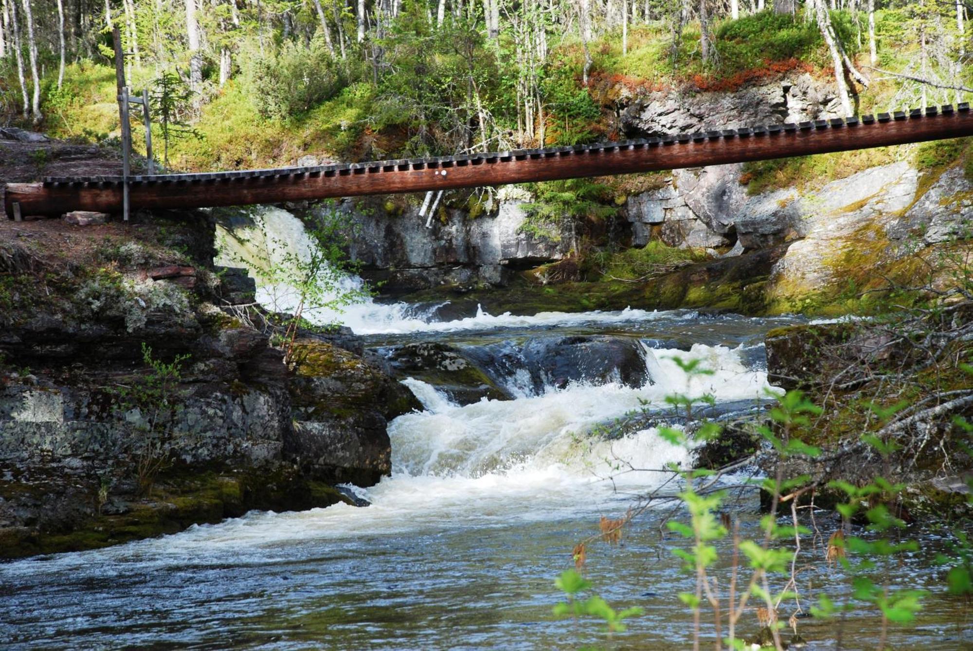 14 - Fulufjellets Nasjonalparker - Natur-, Dyre- Og Fugleopplevelser Trysil Buitenkant foto