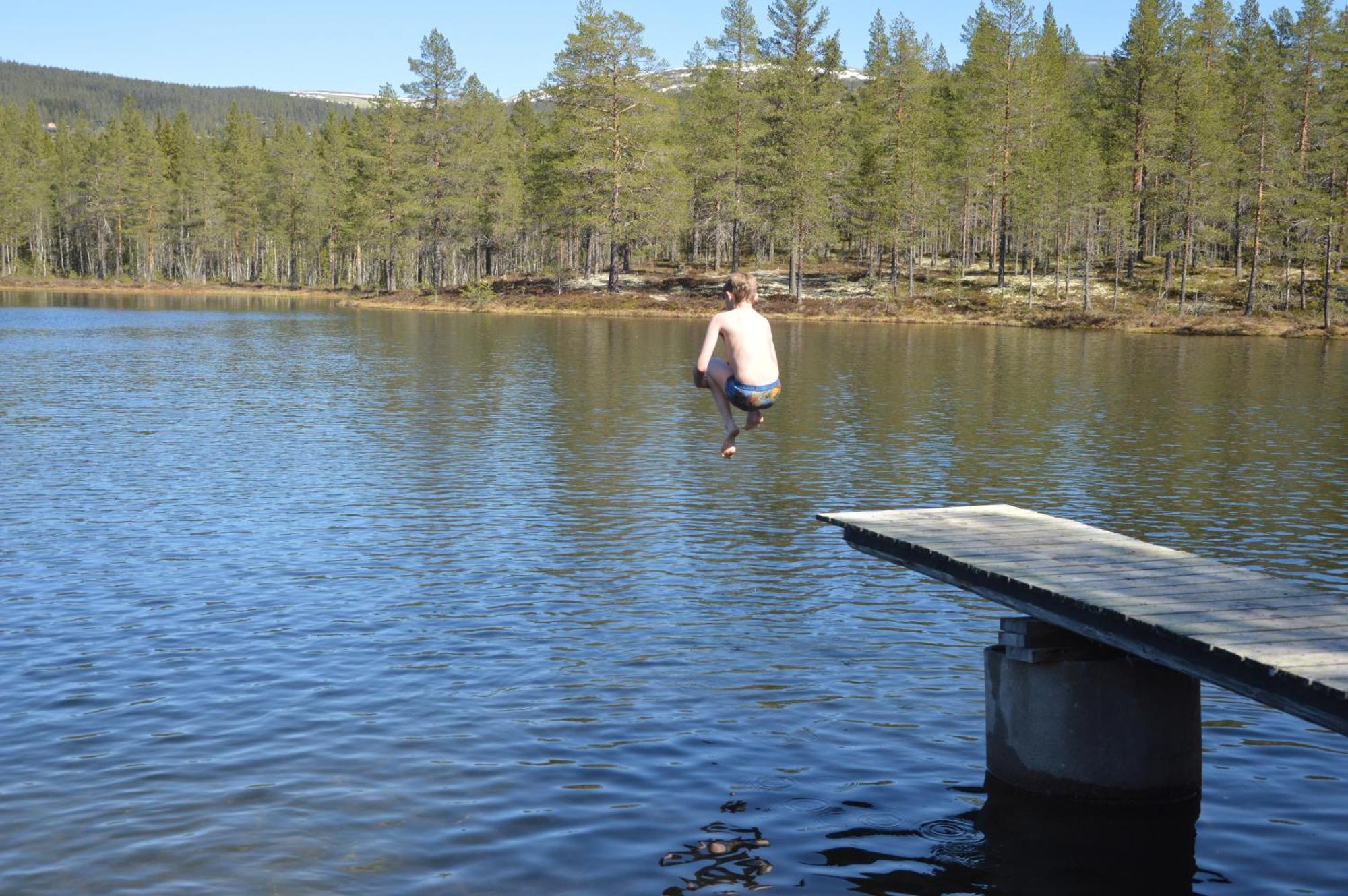 14 - Fulufjellets Nasjonalparker - Natur-, Dyre- Og Fugleopplevelser Trysil Buitenkant foto