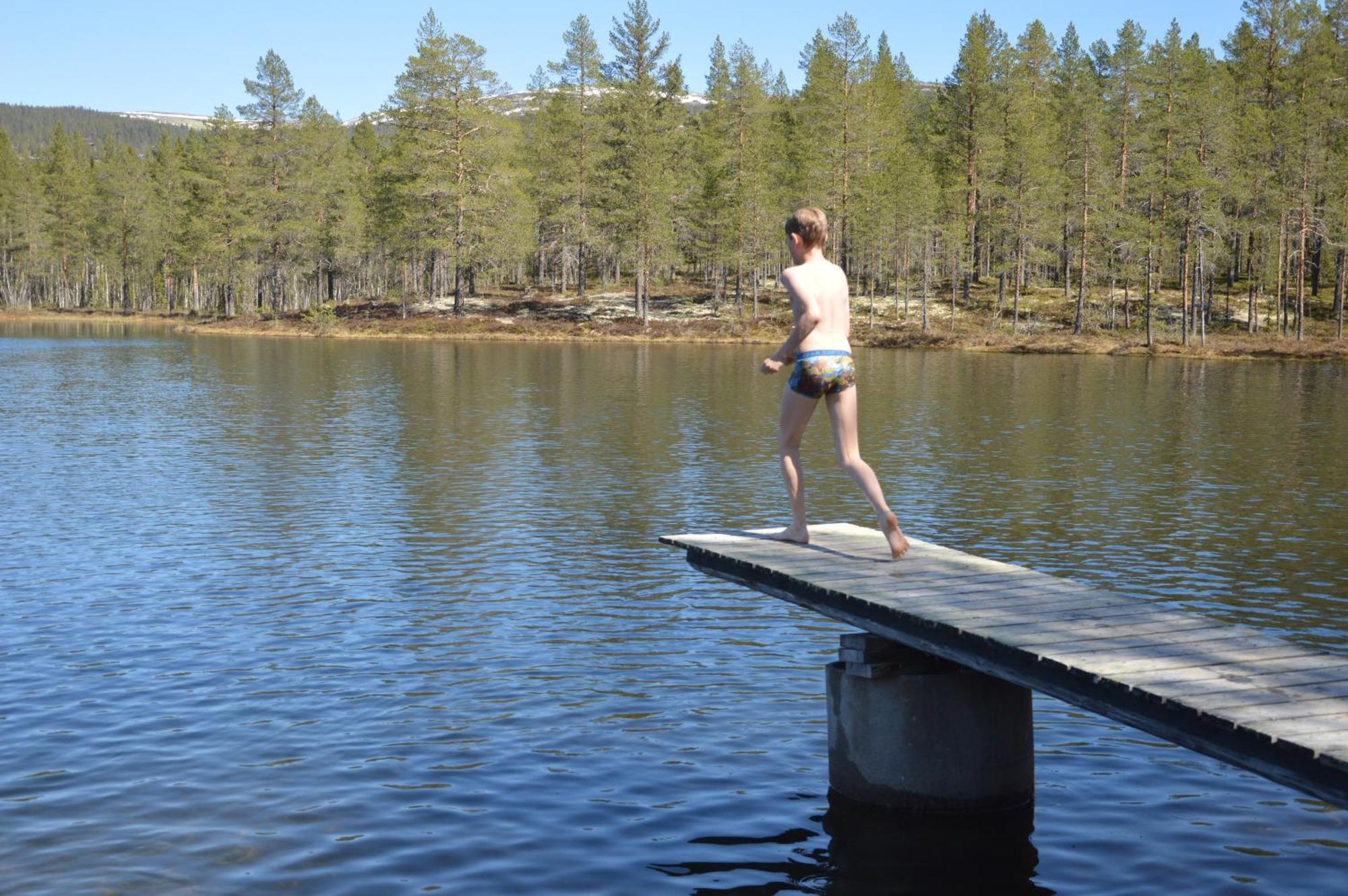 14 - Fulufjellets Nasjonalparker - Natur-, Dyre- Og Fugleopplevelser Trysil Buitenkant foto