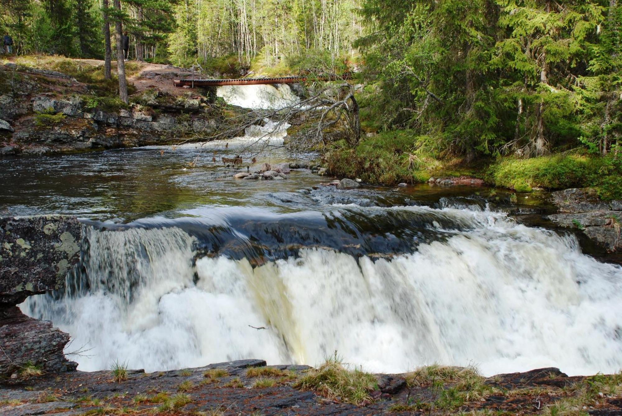 14 - Fulufjellets Nasjonalparker - Natur-, Dyre- Og Fugleopplevelser Trysil Buitenkant foto