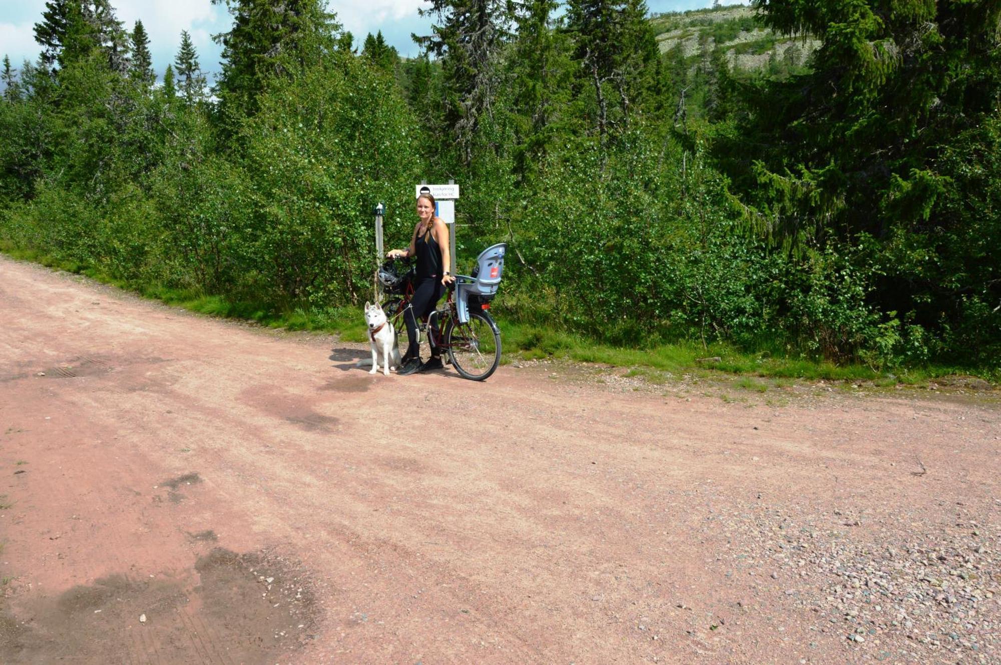 14 - Fulufjellets Nasjonalparker - Natur-, Dyre- Og Fugleopplevelser Trysil Buitenkant foto